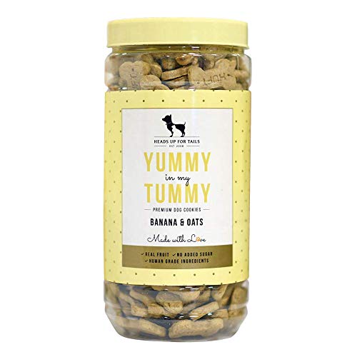 Heads Up For Tails Dog Biscuits (Banana & Oats, 800g)
