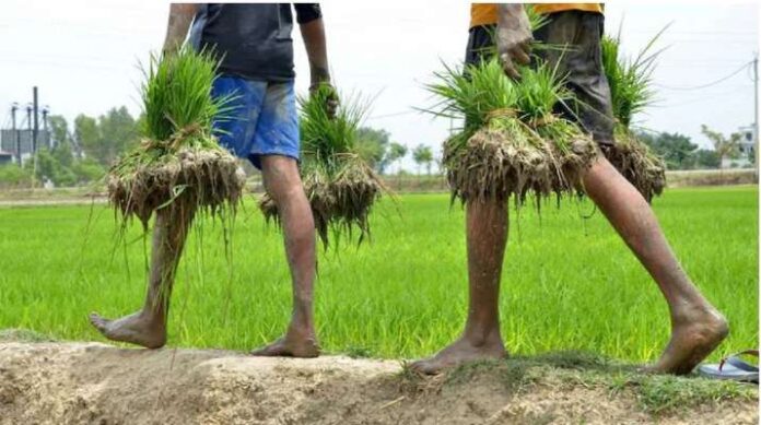 PM Kisan Nidhi Scheme: PM Modi to release 9th installment