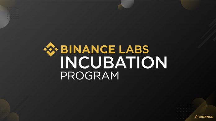 binance labs