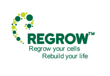 Regrow Biosciences gets USFDA Nod for Phase II trials of ‘OSSGROW’ Regrow Biosciences