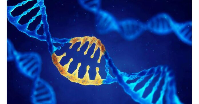 DNA Repair Drugs Market Expected To Propel Market, Key Futuristic Trends And Competitive Landscape