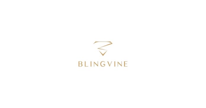 Statement Earrings by Blingvine That are Surprisingly Affordable