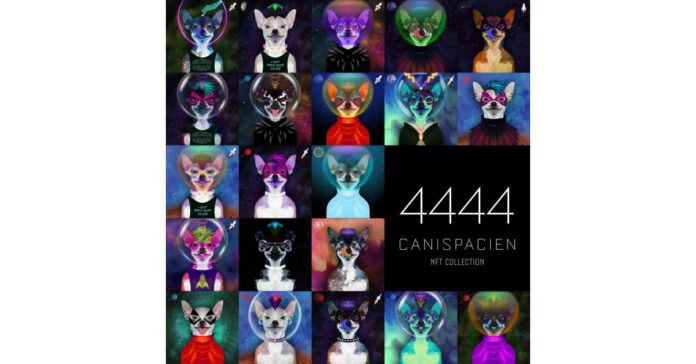 “Space dog” inspired NFT Collection, ‘CaniSpacien’ sells out