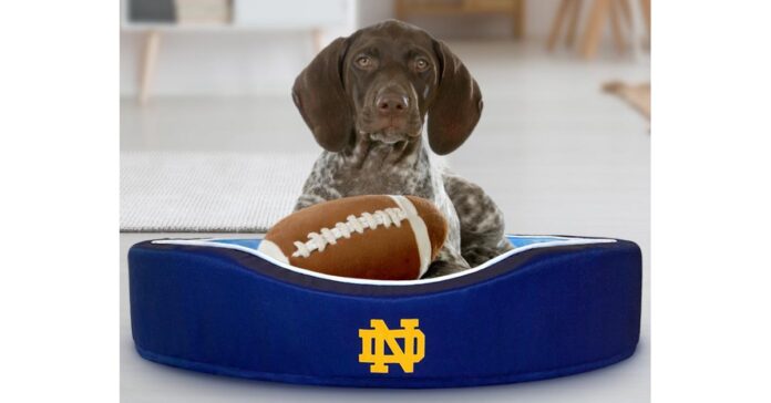 pet-bed.jpeg StadiumSpot acquires major competitors, now largest US licensed collegiate pet gear supplier