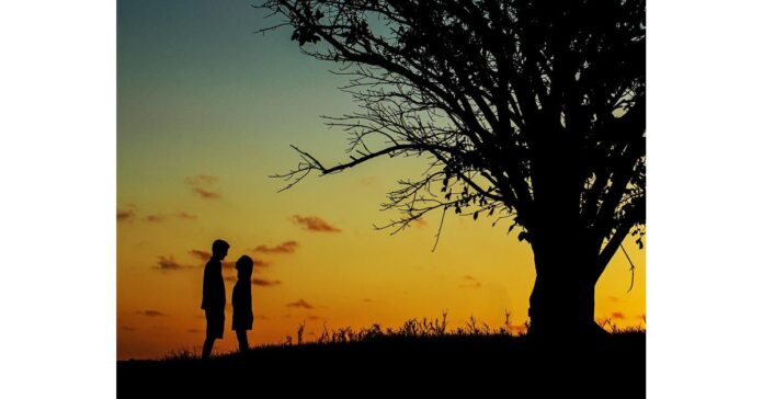 New Online Course to Find the Perfect Partner