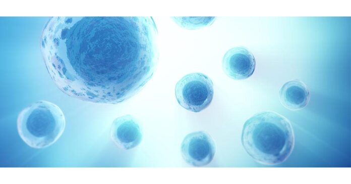 Cell Analysis Market- Key Takeaways from Latest publication Released