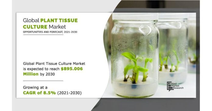 Plant Tissue Culture Market - A Huge Opportunity For Investors by 2030
