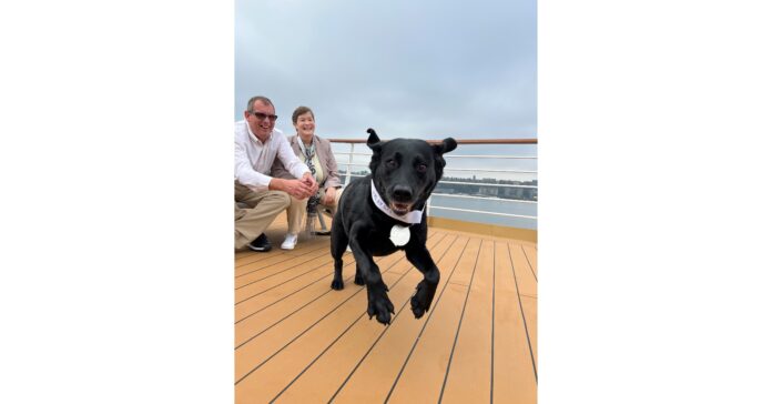 Service Dog Sails into Elite Status; More than 700 Cruise Days with Holland America Line