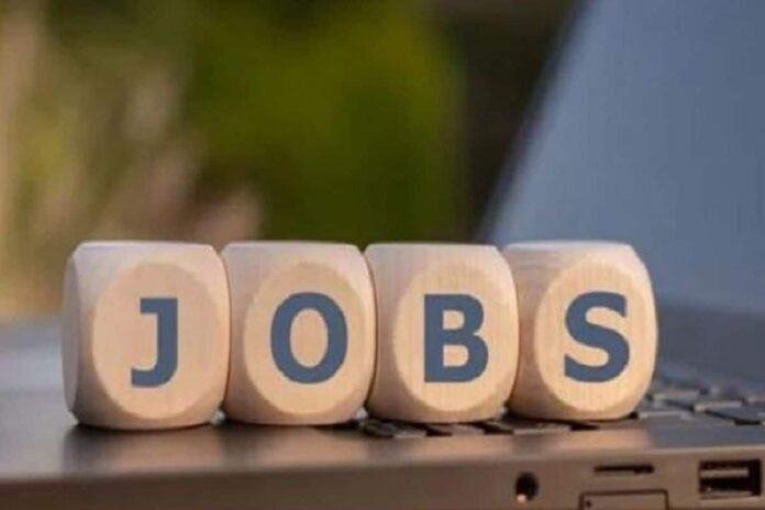 Hiring Blues: White-Collar Jobs Slide Continues In India Amidst Global Recession Threat