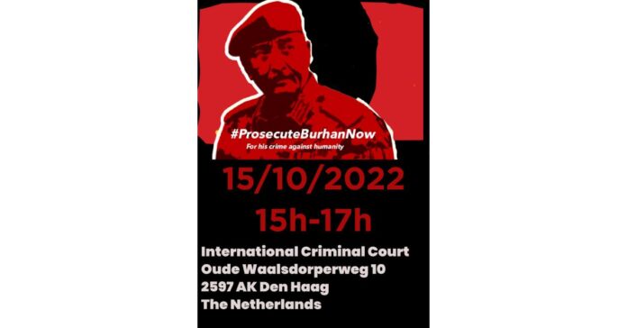 Hundreds of demonstrators oppose Sudanese President Abdel Fattah Al Burhan at the ICC in The Hague.
