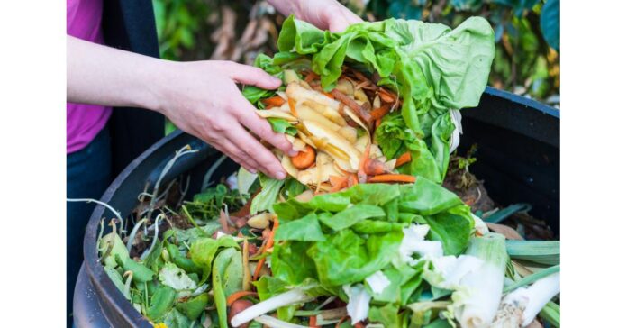Food Waste Management Market expected to exhibit a CAGR of 6.2% by 2022-2027