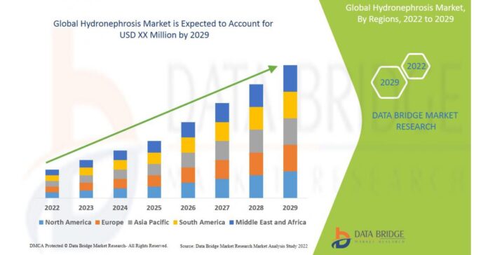 Hydronephrosis Market is Set to Witness a Huge Growth by Share, Size, Growth, New innovations & Forecast Period 2029