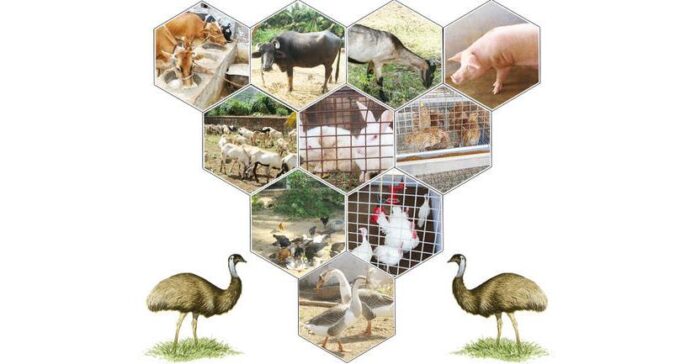 Indian Animal Husbandry Market to Reach INR 1,574.7 Billion by 2027