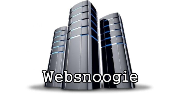 Websnoogie Has Slashed Prices for Its Omaha Web Design