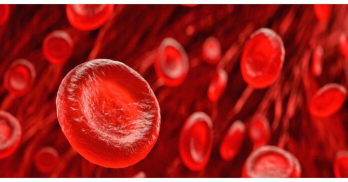 Rare Hematology Disorders Market to Witness Huge Growth by 2030