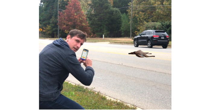 The Roadkill Art App introduces a new kind of reporter, a Roadkill Reporter