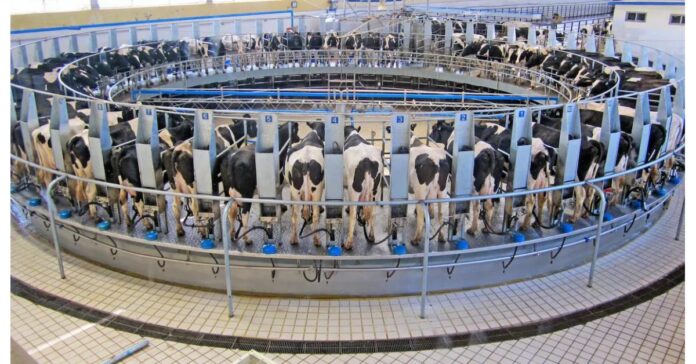 The Animal Milk Mandate in Our Nation’s Schools Is Making The Animal Milk Mandate in Our Nation’s Schools Is Making Kids Sick