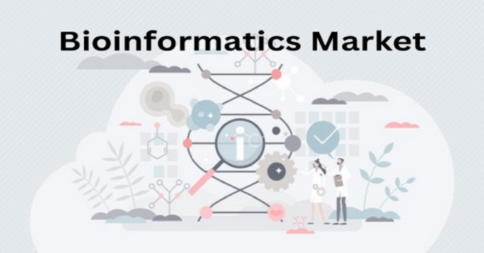 Increasing Business Opportunities and Rapid Growth Factors