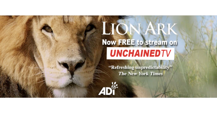 Lion Ark: Now Streaming on UnchainedTV