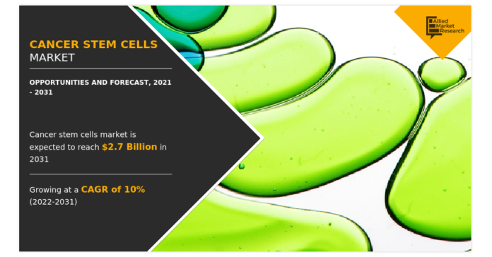 "Rapidly Expanding Cancer Stem Cells Market Expected to Reach $2.7 Billion by 2031"