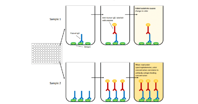 Enzyme Linked Immunosorbent Assay (ELISA) Market is estimated to be US$ 4.8 billion by 2032