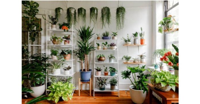 Costa Farm LLC, Ambius, Totally Plants