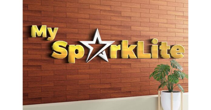 MySparkLite Hosts Mentorship and Coaching Workshop For The Next Generation Of Leaders