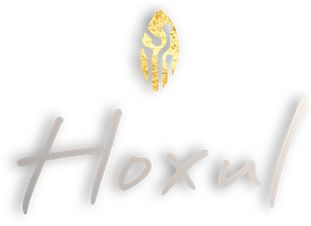 How Hoxul is Changing the Game of Real Estate in How Hoxul is Changing the Game of Real Estate in the