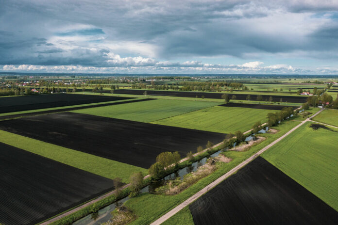 Peatland protection through climate certificates: Study funded by the Audi Environmental Foundation and LEADER* highlights opportunities for the Donaumoos