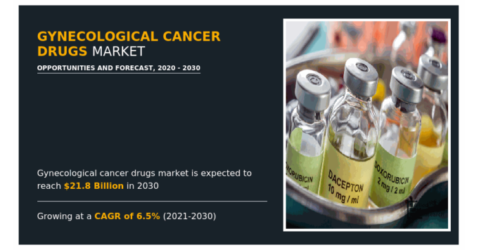 Gynecological Cancer Drugs Market to Witness Tremendous Growth, $21.8 billion by 2030