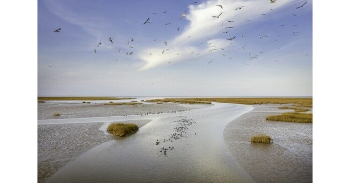 Yellow River Culture Forum zeroes in on cradle of Chinese civilization
