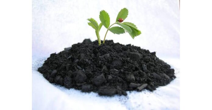 Biochar Market is Going to Boom with Airex Energy, Diacarbon Energy, Biochar Supreme
