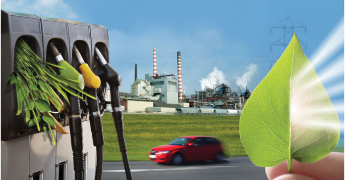 Bioenergy Market Is Booming So Rapidly