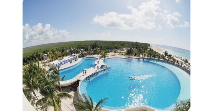 Dolphin Discovery Playa del Carmen Was Rewarded Favorite Beach