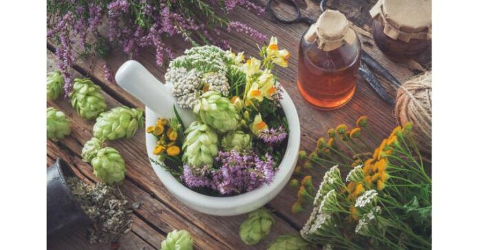 Hops Extract Market is estimated to be US$ 2045.67 million by 2030 with a CAGR of 3.4%