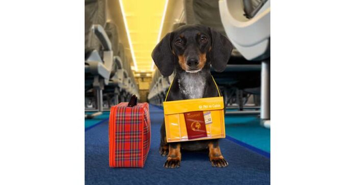 Pet Travel Services Market is estimated to reach $1.3 billion by 2031, growing at a CAGR of 5.4% from 2022 to 2031