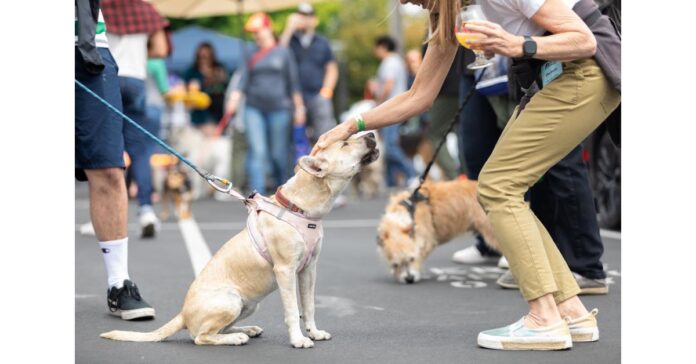 Pints for Paws, 9th Annual Craft Beer Festival, Invites You to Drink Beer and Save Animals