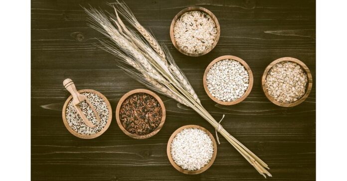 probiotic-ingredients.jpeg Probiotic Ingredients Market Is Booming So Rapidly