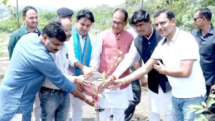 1683459492_Department-Of-Public-RelationsMP.jpg Department Of Public Relations,M.P.