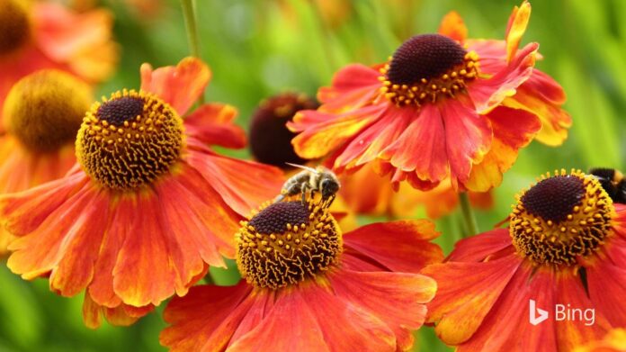 1684604284_th.jpeg Imperative to prioritize education, awareness initiatives to highlight detrimental consequences of counterfeiting, smuggling: Kerala Commerce & Industry Minister