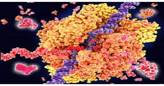 Applications in Gene Expression and Therapeutics Applications in Gene Expression and Therapeutics