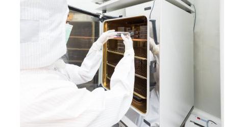 Cline Scientific announces LoI with NecstGen for the manufacture of Cline Scientific announces LoI with NecstGen for the manufacture of its stem cell therapy for damaged cartilage