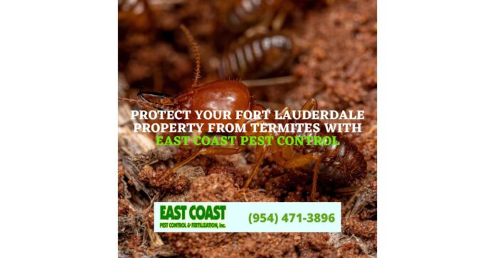 East Coast Pest Control Offers Effective Termite Prevention Services in Fort Lauderdale