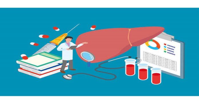 Insights into the Hepatitis Diagnosis Market