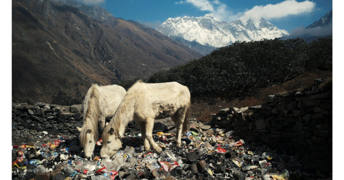 Sagarmatha Next uses crowdsourcing to remove 10,000 kgs of waste from Mount Everest region