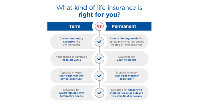 Term Life Insurance: A Double-Edged Sword Term Life Insurance: A Double-Edged Sword