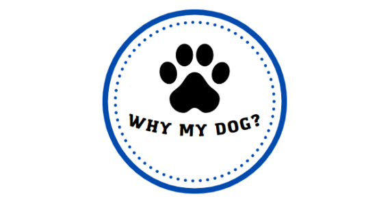 The Online Destination for All Dog Owners The Online Destination for All Dog Owners