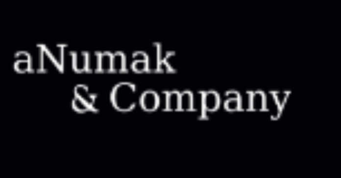 aNumak & Company Excels in Pseudonymization Consulting for Large Enterprises