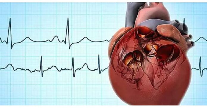 Advancements and Opportunities in Cardiac Care
