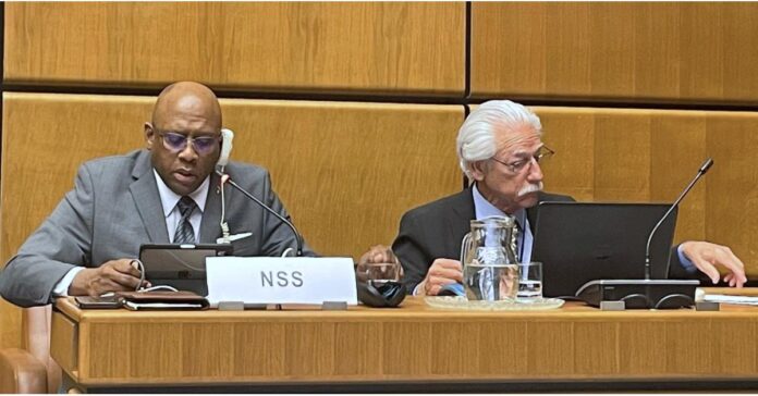 NATIONAL SPACE SOCIETY AND SPACE RENAISSANCE INTERNATIONAL ENGAGE WITH THE UNITED NATIONS